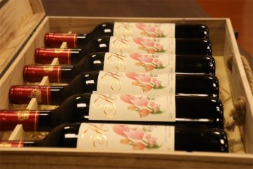 代理哪種法國(guó)進(jìn)口紅酒品牌適合